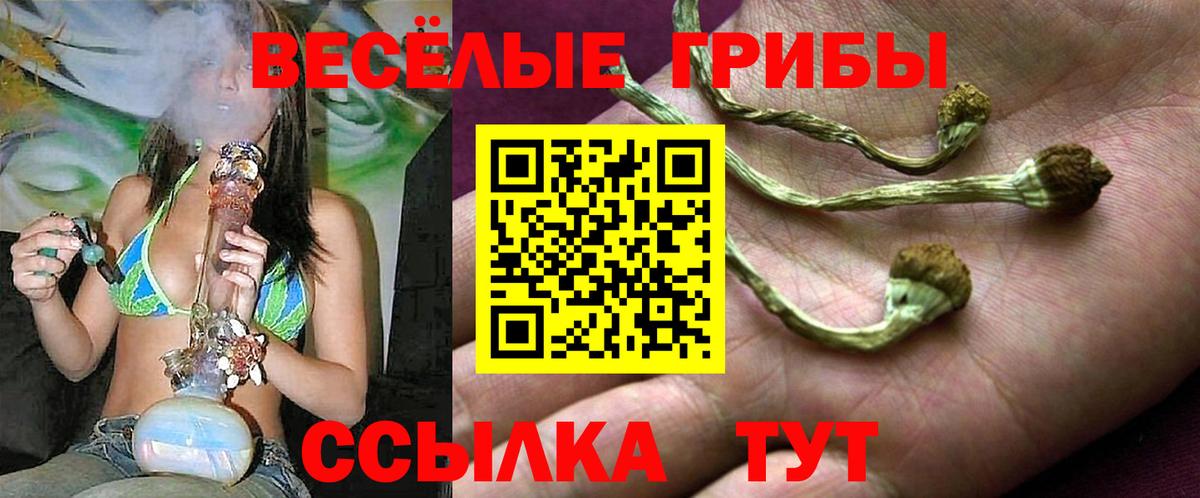 Псилоцибиновые грибы Psilocybine cubensis  Псилоцибиновые грибы прущие грибы  Гулькевичи  Вход с VPN 
